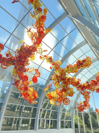 Orange Chihuly glass sculpture in a sunroom